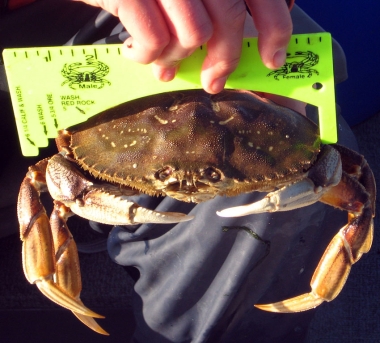 Crabbing with Mike Living Center Oregon