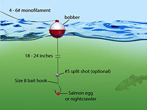 a diagram of a bobber rig for fishing