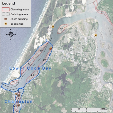 An aerial photo of Coos Bay with colored overlay denoting areas for crabbing and clamming