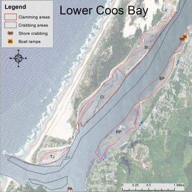 An aerial photo of Lower Coos Bay with colored overlay denoting areas for crabbing and clamming.