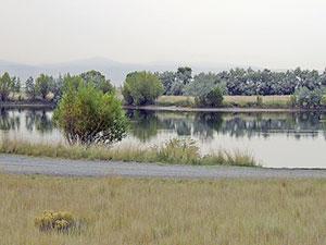 Highway 203 pond