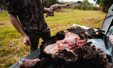 image of a hunter butchering a turkey