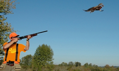 hunter taking aim at a flying pheasant