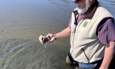 Bay clamming with Mitch Vance