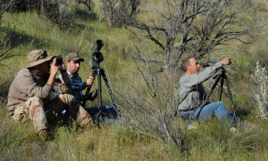 Observation and Glassing