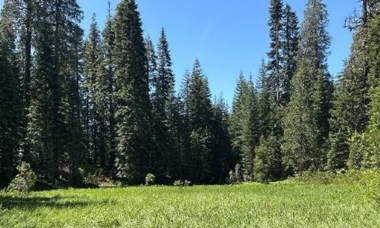 August 2025 Field Report hero.jpg