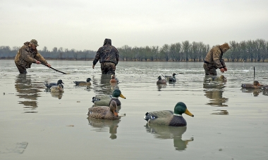Duck decoys _Mud Lake SIWA