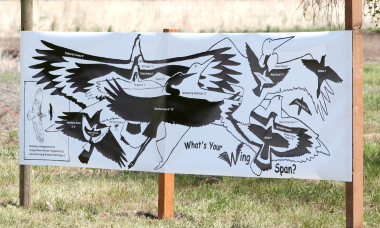 4533_wing_span_sign_munsel_odfw