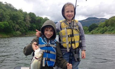 Shad_Umpqua_Cooper_Hedgecock