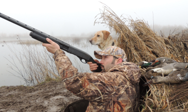 Halsey_waterfowl_dog_duck_blind