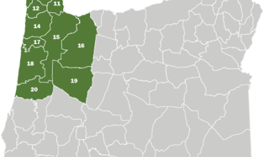 A map of Oregon with the Northwest Area shaded in green