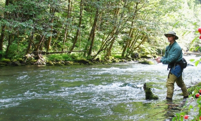 Angler fly fishing in a stream