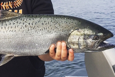 unique chinok salmon fishing planet