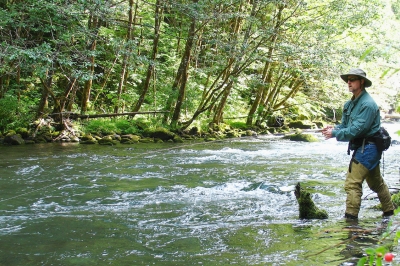 Angler fly fishing in a stream