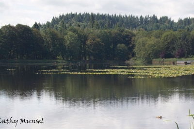 Easy angling in the Northwest Zone Oregon Department of Fish