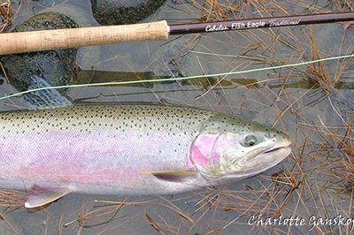 How to fish for steelhead Oregon Department of Fish Wildlife