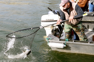 image of a boat angler netting a Chinook salmon