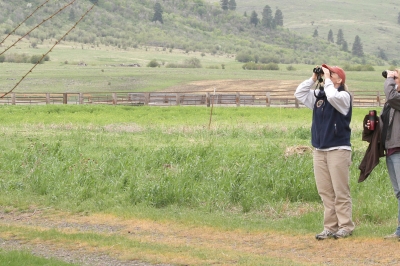 Wildlife watchers looking in a tree with binoculars