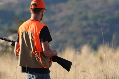 image of a solitary pheasant hunter on a grassy ridge