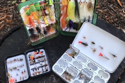 Image of an assortment of pre-loaded and self-loaded fly boxes.