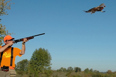 hunter taking aim at a flying pheasant