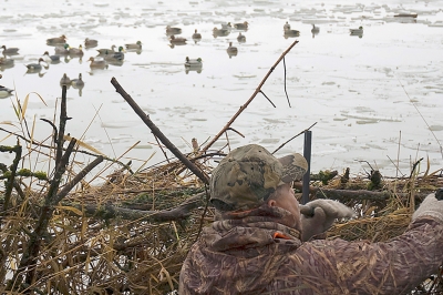 two hunters in a blind looking over decoys