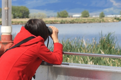 Bird watcher using binoculars to scan a pond for birds.