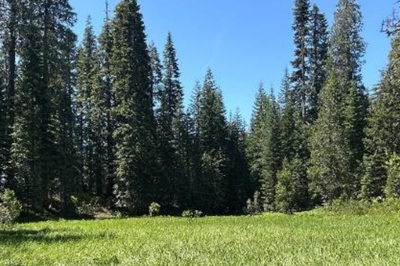 August 2025 Field Report hero.jpg