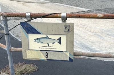 Salmon River Fish Hatchery hero.jpg