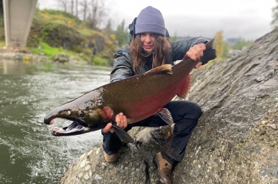 Santiam River Coho