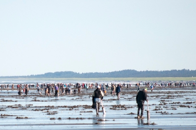 clatsop_beach_matthew_hunter_odfw.jpg