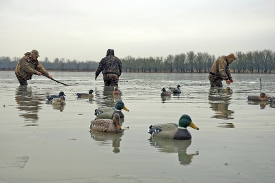 Duck decoys _Mud Lake SIWA