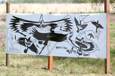 4533_wing_span_sign_munsel_odfw