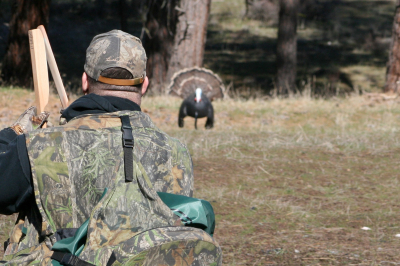 050_talkin_turkey_odfw