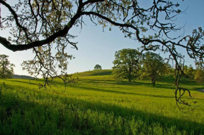 Finley Muddy Creek Area. Photo by George Gentry, USFWS