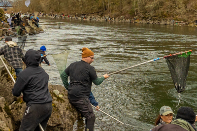 2I9A1438_Sandy_River_Smelt_Opener_2023_Swingle_ODFW.jpg