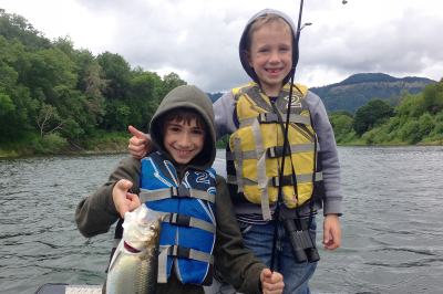 Shad_Umpqua_Cooper_Hedgecock