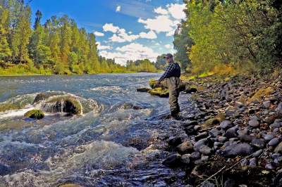0046_clack_summer_steelhead_swart_odfw