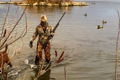 1974_hotm_haralson_Columbia River_waterfowl_duck_dog