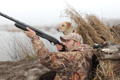 Halsey_waterfowl_dog_duck_blind