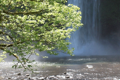 Silver Creek Falls