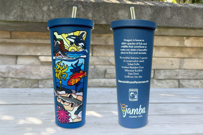 Marine Tumblers front & back.jpg