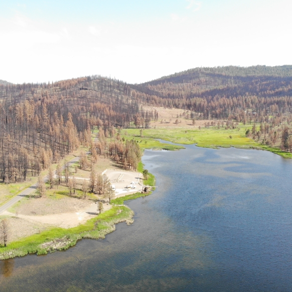 Yellow Jacket during construct