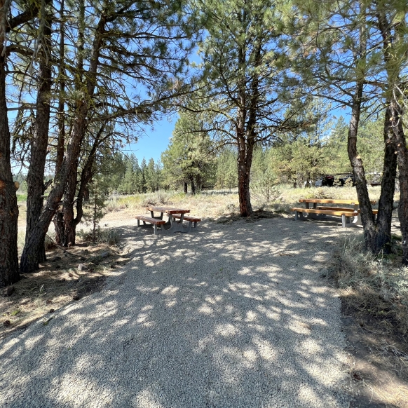 Yellowjacket picnic tables 2