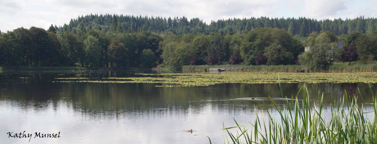 Easy angling in the Northwest Zone Oregon Department of Fish