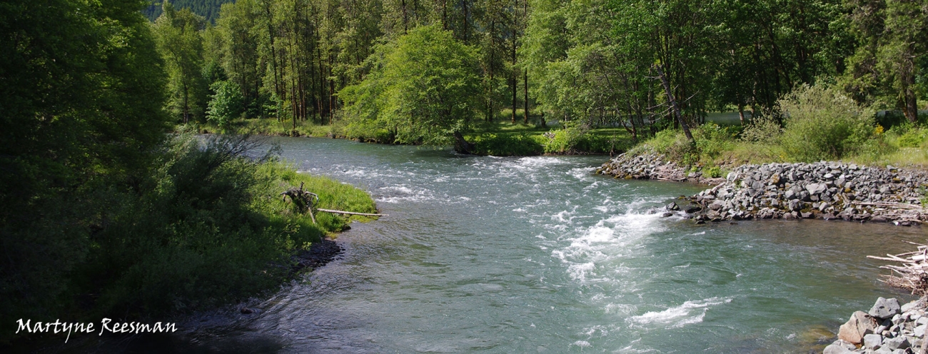 65 places to go fishing in Lane County Oregon Department of Fish