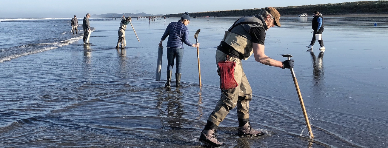 Crabbing & Clamming as Seasiders Do - Seaside Oregon