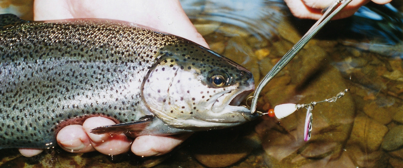 5 tips for fishing in hot water  Oregon Department of Fish & Wildlife